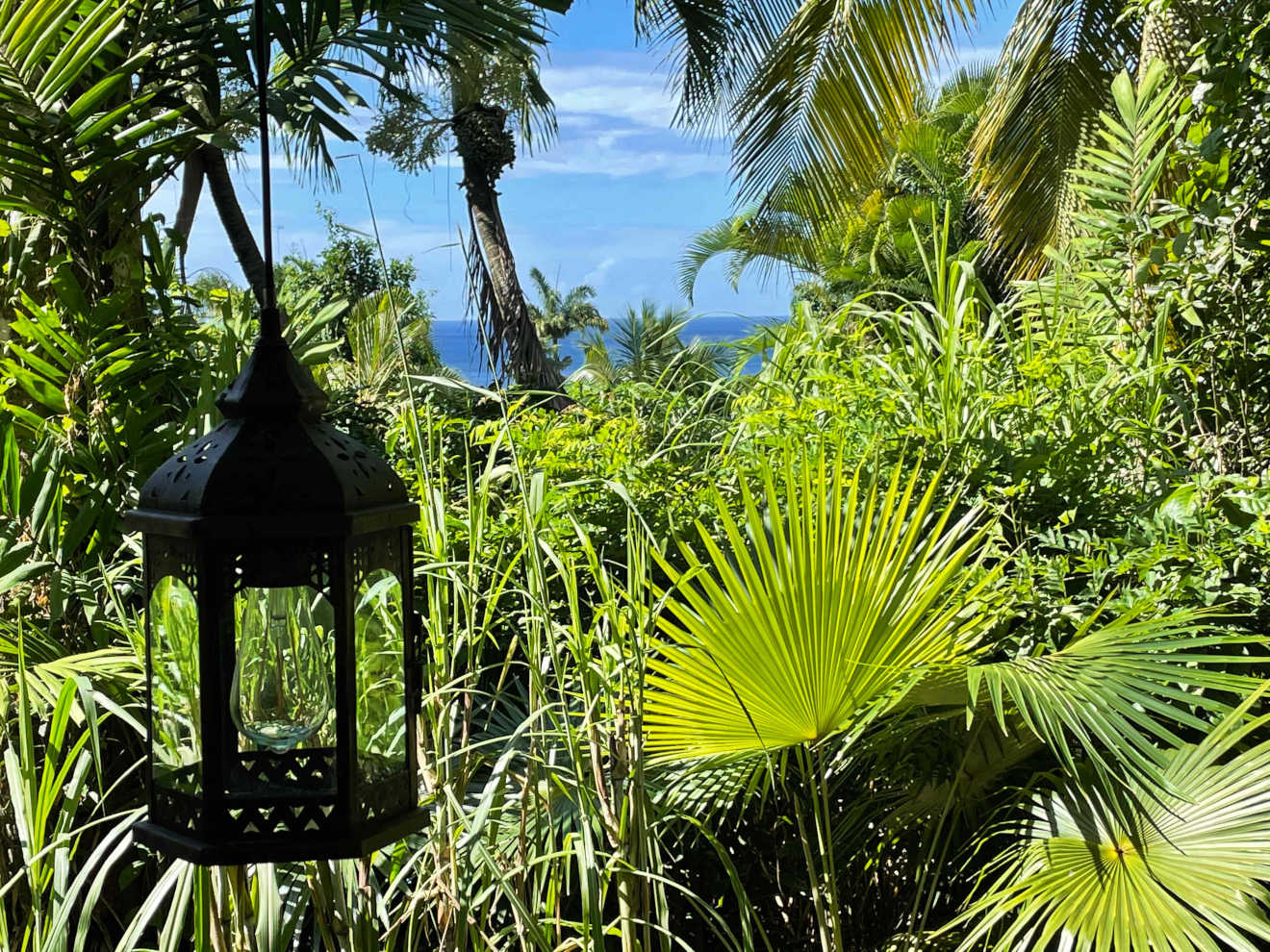 Sunsets over the Caribbean Sea will brighten the beginning of your evenings.